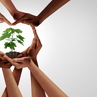 Hände Kreis Baum – © wildpixel / iStock.com Praxisbeispiel Physiotherapeuth